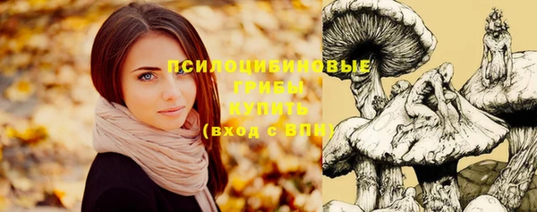 героин Абаза