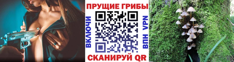 Галлюциногенные грибы мицелий  сайты даркнета состав  Серафимович  наркотики 